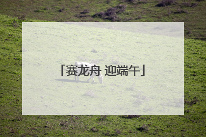 赛龙舟 迎端午