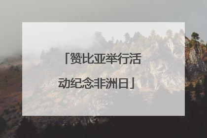 赞比亚举行活动纪念非洲日