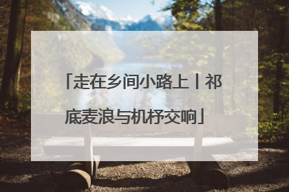 走在乡间小路上丨祁底麦浪与机杼交响
