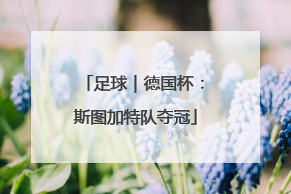 足球｜德国杯：斯图加特队夺冠