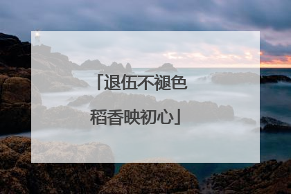 退伍不褪色 稻香映初心