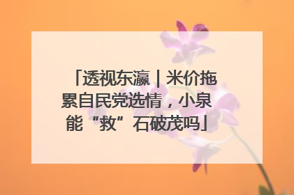 透视东瀛｜米价拖累自民党选情，小泉能“救”石破茂吗