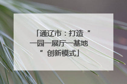 通辽市：打造“一园一展厅一基地”创新模式