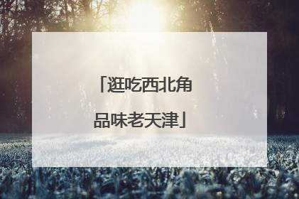 逛吃西北角 品味老天津