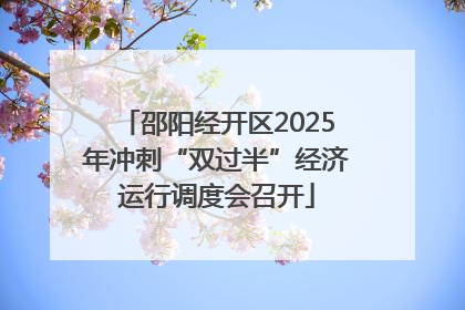 邵阳经开区2025年冲刺“双过半”经济运行调度会召开
