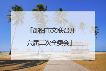 邵阳市文联召开六届二次全委会