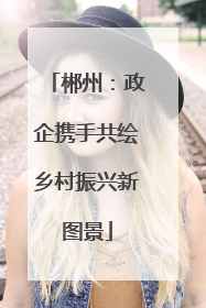 郴州：政企携手共绘乡村振兴新图景