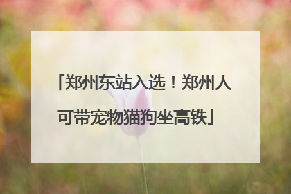 郑州东站入选！郑州人可带宠物猫狗坐高铁