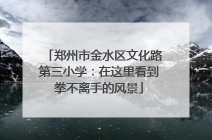 郑州市金水区文化路第三小学：在这里看到拳不离手的风景