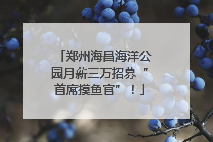 郑州海昌海洋公园月薪三万招募“首席摸鱼官”！