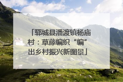 郓城县潘渡镇杨庙村：草藤编织“编”出乡村振兴新图景