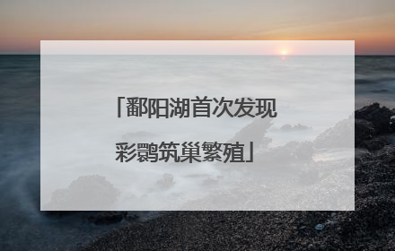 鄱阳湖首次发现彩鹮筑巢繁殖