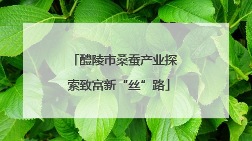 醴陵市桑蚕产业探索致富新“丝”路