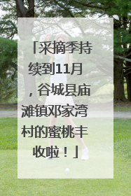 采摘季持续到11月，谷城县庙滩镇邓家湾村的蜜桃丰收啦！