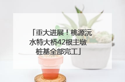 重大进展！桃源沅水特大桥42根主墩桩基全部完工