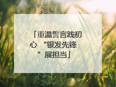 重温誓言践初心 “银发先锋”展担当