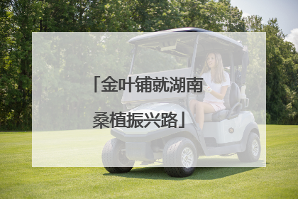 金叶铺就湖南桑植振兴路