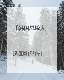 韩国总统大选即将举行