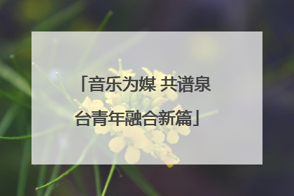 音乐为媒 共谱泉台青年融合新篇