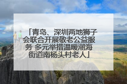 青岛、深圳两地狮子会联合开展敬老公益服务 多元举措温暖潮海街道南杨头村老人