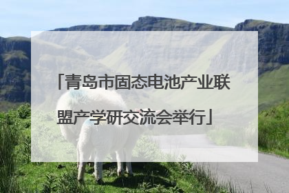 青岛市固态电池产业联盟产学研交流会举行