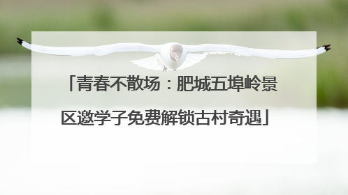 青春不散场：肥城五埠岭景区邀学子免费解锁古村奇遇