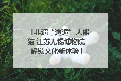 非遗“邂逅”大熊猫 江苏无锡博物院解锁文化新体验