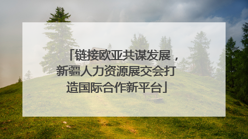 链接欧亚共谋发展，新疆人力资源展交会打造国际合作新平台