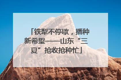 铁犁不停歇，播种新希望——山东“三夏”抢收抢种忙