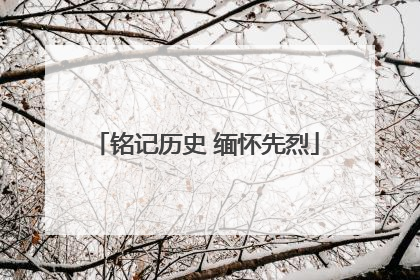 铭记历史 缅怀先烈