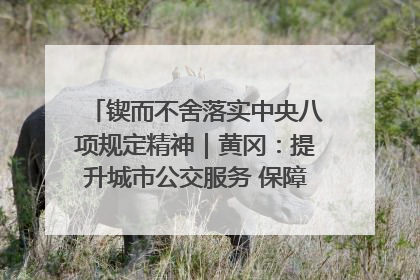 锲而不舍落实中央八项规定精神｜黄冈：提升城市公交服务 保障出行“大民生”