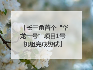 长三角首个“华龙一号”项目1号机组完成热试