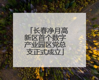 长春净月高新区首个数字产业园区党总支正式成立