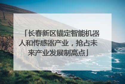 长春新区锚定智能机器人和传感器产业，抢占未来产业发展制高点