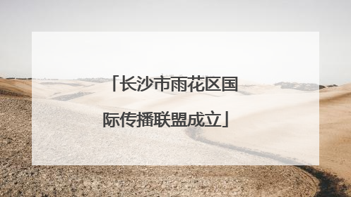 长沙市雨花区国际传播联盟成立