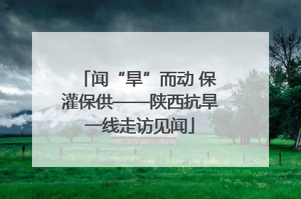 闻“旱”而动 保灌保供——陕西抗旱一线走访见闻