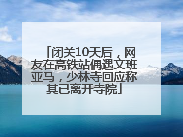 闭关10天后，网友在高铁站偶遇文班亚马，少林寺回应称其已离开寺院