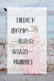 阳光下的守护——北京公安法治一线观察