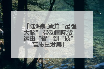 陆海新通道“最强大脑” 带动国际货运由“智”到“质”高质量发展