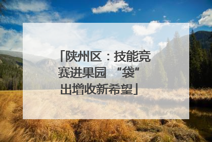 陕州区：技能竞赛进果园 “袋”出增收新希望