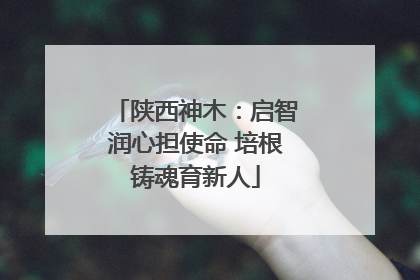 陕西神木：启智润心担使命 培根铸魂育新人