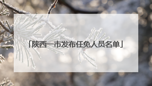 陕西一市发布任免人员名单