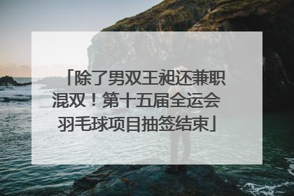 除了男双王昶还兼职混双！第十五届全运会羽毛球项目抽签结束