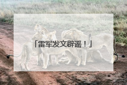 雷军发文辟谣！