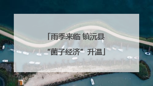 雨季来临 镇沅县“菌子经济”升温