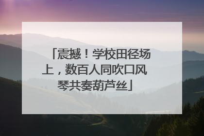 震撼！学校田径场上，数百人同吹口风琴共奏葫芦丝