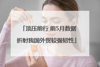 顶压前行 前5月数据折射我国外贸较强韧性