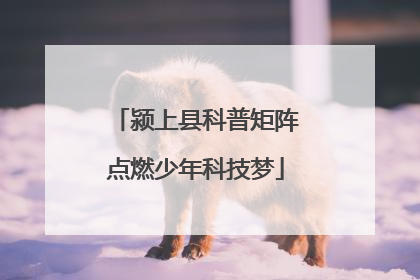 颍上县科普矩阵点燃少年科技梦