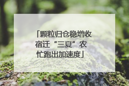 颗粒归仓稳增收 宿迁“三夏”农忙跑出加速度