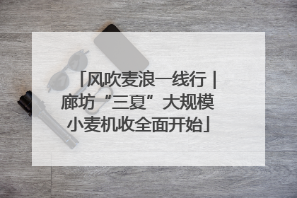 风吹麦浪一线行｜廊坊“三夏”大规模小麦机收全面开始